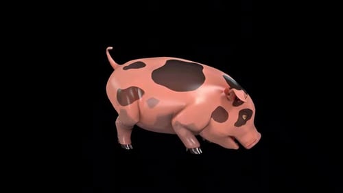 Animated Pig Sniffing and Looking Around