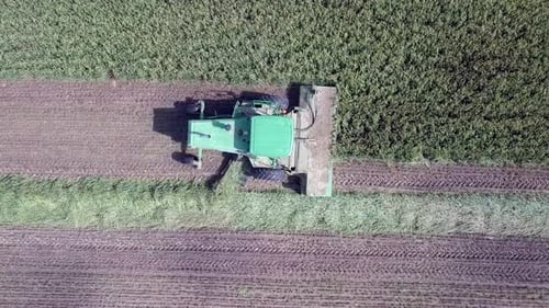Aerial footage of a Combine harvester harvest a green wheat field
