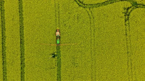 Agricultural sprayer detail. Flowering rapeseed field. Working sprayer in yellow canola land. Chemic