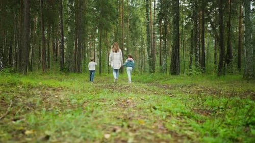 Mother with Children Walking Into Forest Surrounded By Tall Green Trees