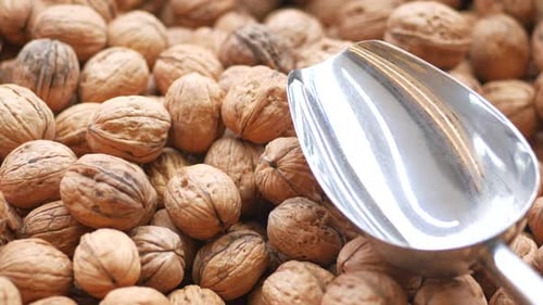 Walnut Close Up on a Wooden Table