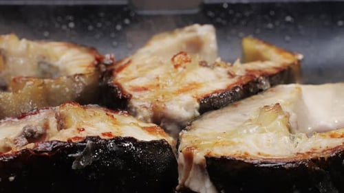 Cooking Fillet Sturgeon Fish on Grill or Frying Pan with Oil Closeup Roast Healthy Food Concept Fry