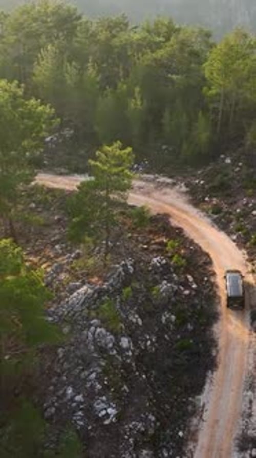 Vertical Video Skyline Serenity Luxurious Black Car Journeying Through the Mystical Green Forest