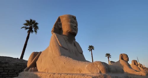 Egyptian row of sphinx, Luxor temple, upper Egypt