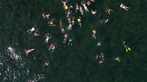 Aerial view of people snorkelling in shark bay on Ko Tao island, Thailand.