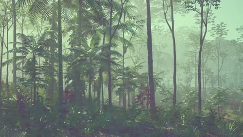 Dense Green Forest With Abundant Trees