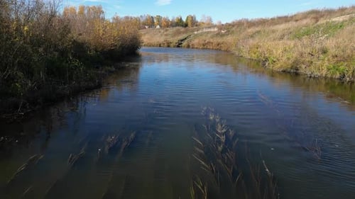 Calm River Flows Gently Through a Serene Autumn Landscape in Countryside