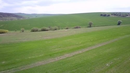 Vista aérea de un campo agrícola verde en verano o primavera