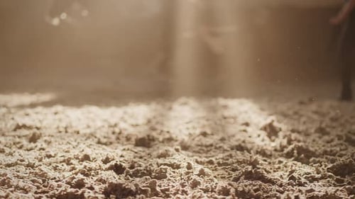 Horsewoman Trains Chestnut Horse on Leash on Sports Arena