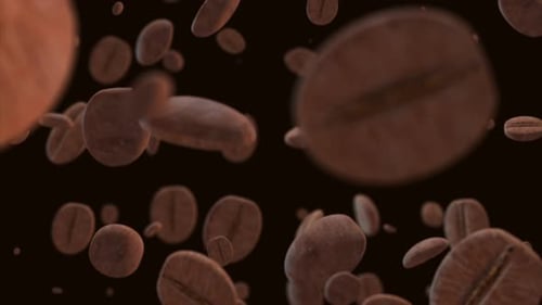 Animated Coffee Beans Falling Loop