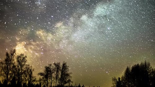 A stunning view of the Milky Way crossing the night sky over the trees - astrophotography time lapse