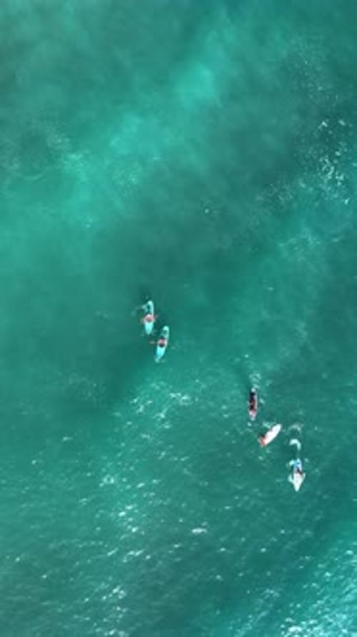 Vertical Video Vibrant SUP Festival in the Mediterranean Sea As People Paddle and Relax Against