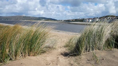 Beach grass blowing in breeze on sand dune island coastal holiday waterfront landscape slow right do