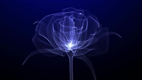 Verzauberte Lumineszenz: Eine digitale Rose, die in der Sternennacht blüht