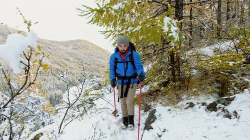 Portrait of Man Hiker Doing Hiking Outdoors in Winter Forest Caucasian Male Walks with Sticks and