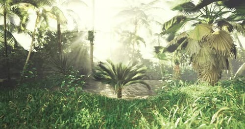 Moving Through Lush Tropical Jungle with Sun Rays