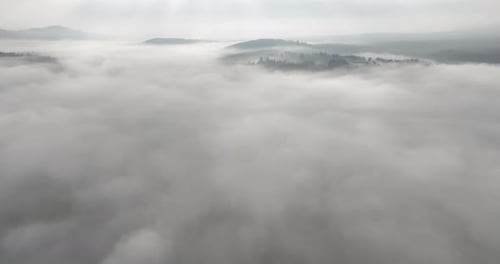 Aerial Drone Footage of Misty Fog Blowing Over Pine Tree Forest on a Beautiful Morning