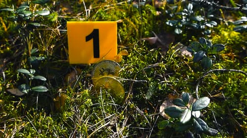 Marqueur de preuves de crypto-monnaie Bitcoin sur une scène de crime en forêt