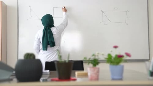 Teacher Drawing Diagrams on a Whiteboard