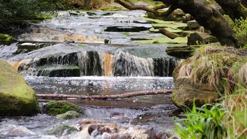 Bosque que se mueve lentamente, arroyo, cascada, escena de serenidad natural con una tranquila piscina debajo, exuberante vegetación