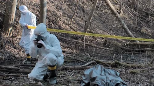 Forensic Specialist Working in the Forest Police Criminalists Collecting Evidence and Making