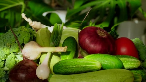 Close-up of Assorted Fresh Vegetables on Display