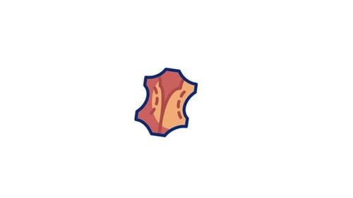 Animated Cartoon Leather Hide Icon Reveal