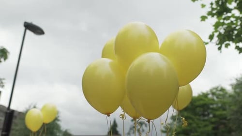 Closeup on a garden party with balloons