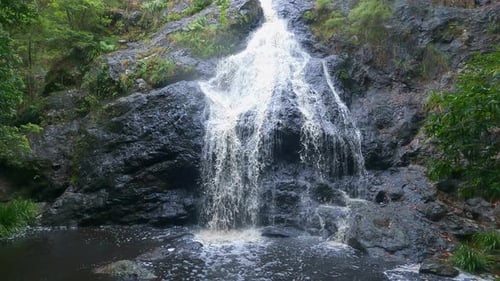 Beautiful Waterfall - Nature Brook Trees - Fresh Water Running Creek - Stream Flows Over Rocks into