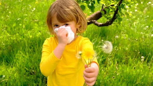 Child with Allergies Holding Flowers in Spring Field