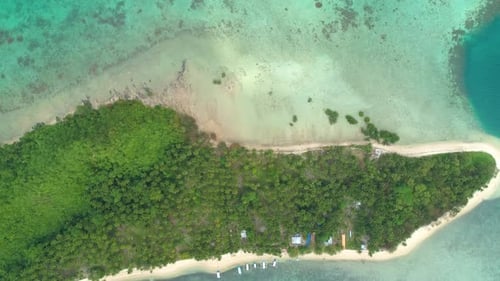 Aerial View of a Tropical Island with Palm Trees and White Sand Beaches Amazing Tropical Island in