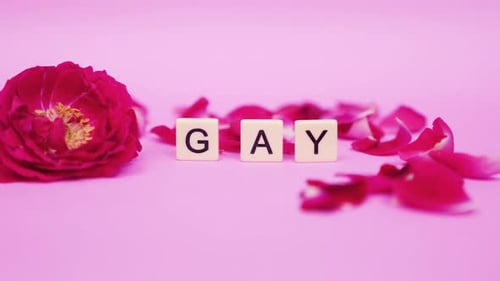 Single Rose Next to Gay Word Blocks