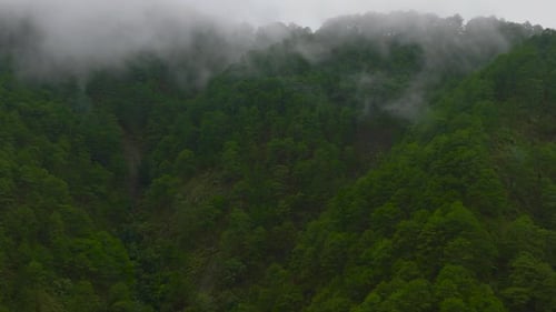 Tropical Landscape with Mountains