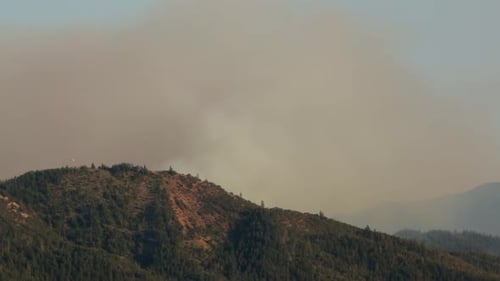 Firefighting plane leaves massive wildfire in forest to refill