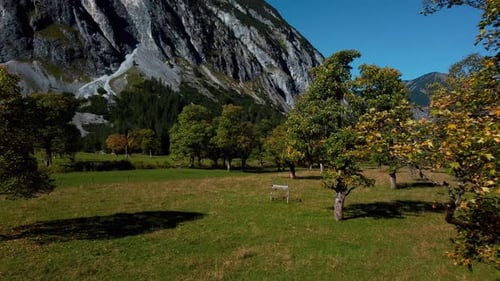 Colorful Canadian maple trees with red and yellow fall leaves in sunny vibrant autumn in the alps mo
