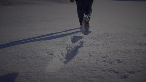 Male Person Walking in Deep Snow Looking at Single Tree