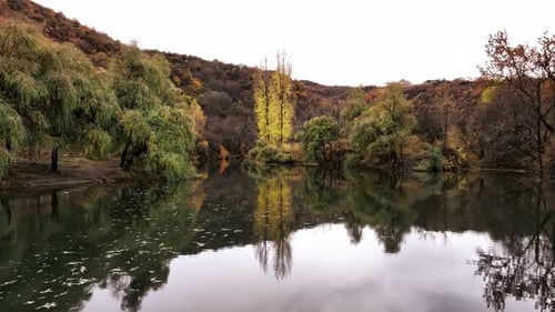 Autumn Trees Reflecting in Calm Lake Water