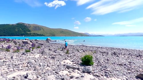 Homme marchant sur la rive du lac Tekapo avec les montagnes en arrière-plan (Ralenti)