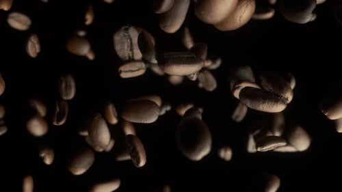 Roasted Coffee Beans Falling on Black Background