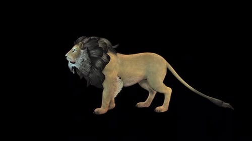 2d Lion Idle