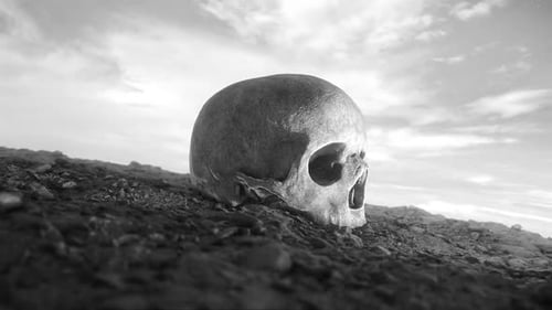 Gritty Black and White Skull on Desolate Ground Loop Animation