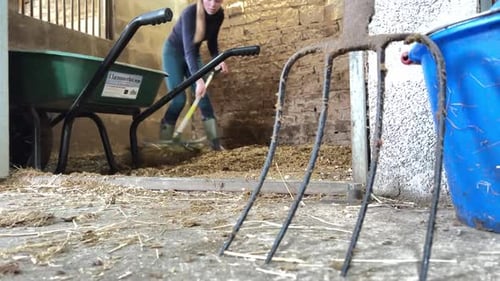 Young Woman Cleaning Stables with Rake