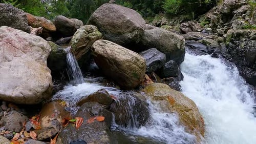 Heavy Flowing Water - Peaceful Forest Waterfall Running River Flows into Giant Rock Pools