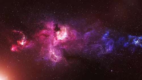 Deep blue night sky with plant, stars, and nebula