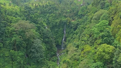 Sekumpul waterfall flowing through lush green rainforest in bali