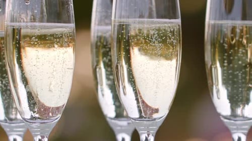 Slow-motion elegant Champagne bubbles. The camera pans along the row of sparkling glasses. A
