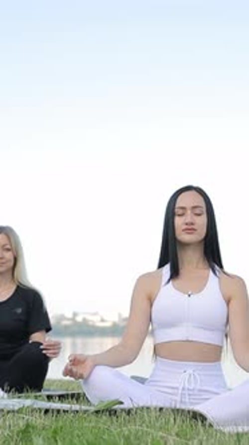 Exercise and Training with a Female Yogi and Friend Outside on a Grass Field for a Summer Workout