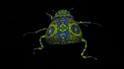 Fantasy Scarab Beetle - Walking Loop - Back Close Up View - Alpha Channel