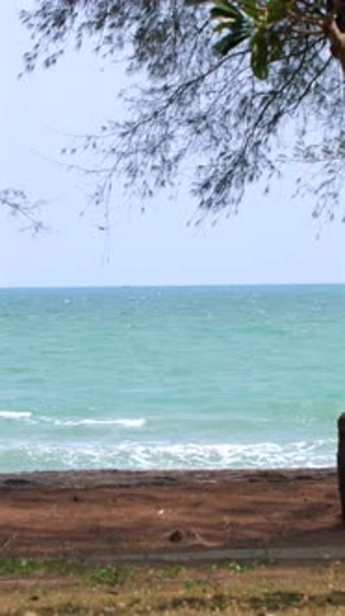 Serene Beach Landscape with Clear Turquoise Sea and Lush Green Foliage