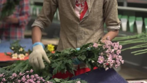 Flower Factory- Handheld Shot 3